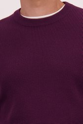 Détail de Pull bordeaux en maille à col rond de Casual Five pour Hommes