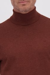 Détail de Pull en coton à col roulé - marron de Dansaert Blue pour Hommes