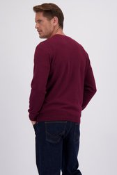 Le dos de Pull fin bordeaux à col en V de Dansaert Blue pour Hommes