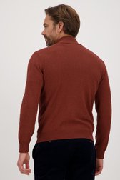 Le dos de Pull marron avec fermeture éclair courte	 de Dansaert Blue pour Hommes