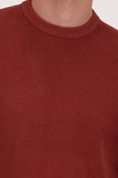Détail de Pull marron rouille à col rond de Ravøtt pour Hommes