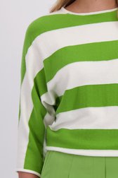 Détail de Pull rayé blanc et vert de Libelle pour Femmes