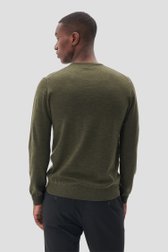 Le dos de Pull vert en laine mérinos de Matinique pour Hommes