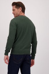 Le dos de Pull vert foncé en coton à col rond de Dansaert Blue pour Hommes