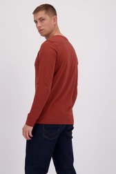 Achterkant van Roestbruin T-shirt met lange mouwen door Liberty Island voor Heren