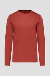 Productfoto 1 van Roestbruin T-shirt met lange mouwen door Liberty Island voor Heren