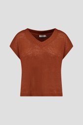 Productfoto 1 van Roestbruin T-shirt met V-hals  door Liberty Loving nature voor Dames