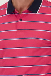 Rood-blauw gestreepte polo van Dansaert Blue voor Heren