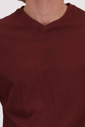 Detail van Roodbruin T-shirt met V-hals door Liberty Island voor Heren