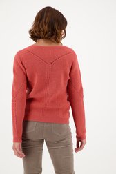 Roze trui met V-hals van Diane Laury voor Dames