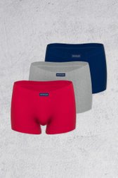 Sous-vêtements multi – Trunk pants – Set de 3 de Tom Tailor pour Hommes