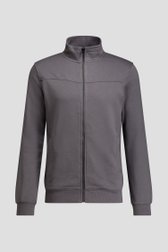 Photo produit 1 de Sweat zippé gris de Liberty Island pour Hommes