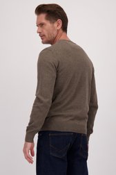 Achterkant van Taupe trui met V-hals door Dansaert Blue voor Heren