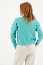 Turquoise trui met V-hals van Liberty Loving nature voor Dames