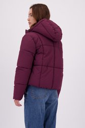Le dos de Veste courte matelassée bordeaux de JDY pour Femmes