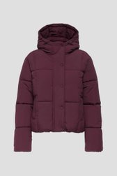 Photo produit 1 de Veste courte matelassée bordeaux de JDY pour Femmes