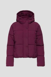 Photo produit 2 de Veste courte matelassée bordeaux de JDY pour Femmes