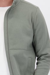 Détail de Veste gris-vert zippée de Liberty Island pour Hommes