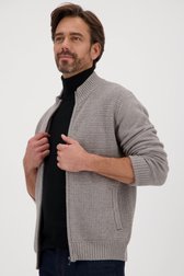 Warme grijze cardigan met rits van Dansaert Blue voor Heren