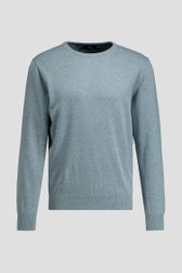 Productfoto 1 van Zeegroene katoenen trui met ronde hals door Dansaert Blue voor Heren
