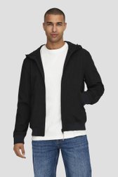 Zwarte jas van ONLY & SONS voor Heren