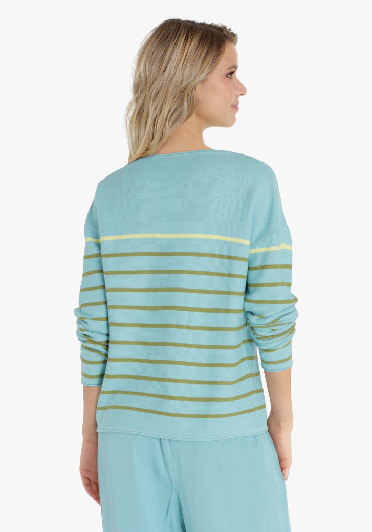 blauw gestreepte trui